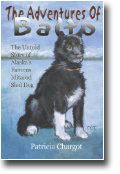 Balto Famous Husky