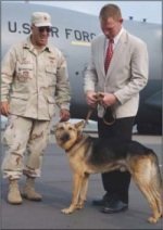 Fluffy the War Dog Reunited